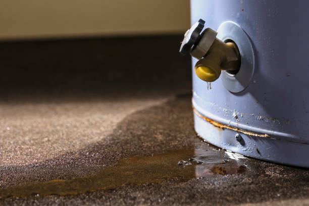 Best Basement water damage restoration  in North River Shores, FL