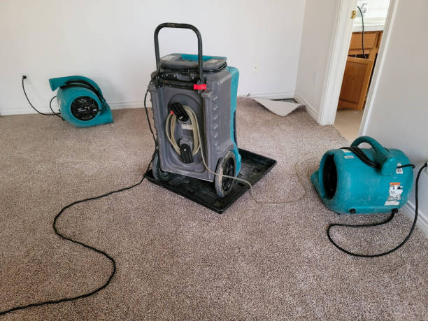 Best Flooded house restoration  in North River Shores, FL