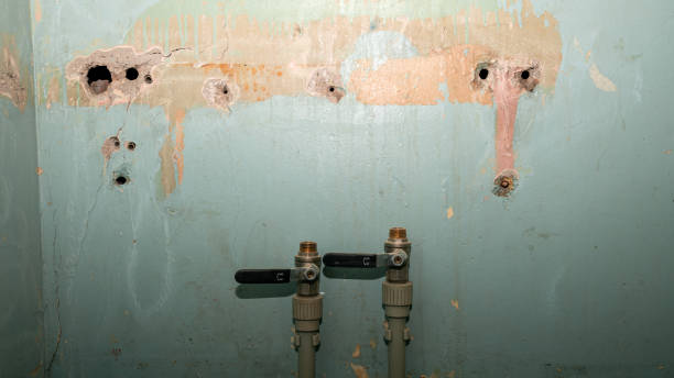 Best Water damage restoration near me  in North River Shores, FL