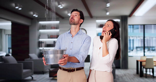 Best Water damage restoration specialists  in North River Shores, FL