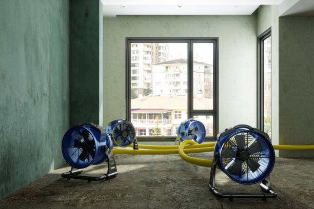  North River Shores, FL Water damage restoration Pros